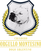 Orgullo Montesino - Melhor Dogo do Brasil 2019